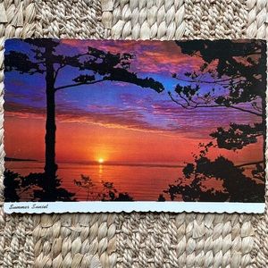 Vintage Florida Postcards